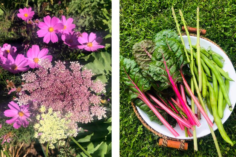 De las pasarelas a la huerta