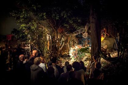 El jardín de la casa tomada por esta señora que, con empeño, es capaz de tapar el sol