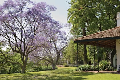 El jardín de la Quinta Los Ombúes, en San Isidro, se puede visitar los fines de semana