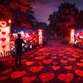 Maravillosa Alicia llega al Jardín Botánico con una experiencia inmersiva