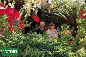 Releva los jardines en un barrio y descubre la historia de vida de los vecinos a través de sus flores