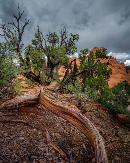 El Jardín de los Dioses en Colorado es un verdadero destino con formaciones asombrosas (Instagram/@pilochalo)