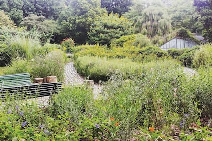 El jardín de mariposas está diseñado con senderos para que, al recorrerlos, se aprecien los canteros que hospedan a los insectos.