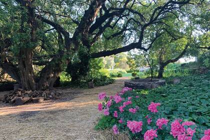 El jardín de Samay Huasi brinda a los visitantes un entorno único y lleno de verde.