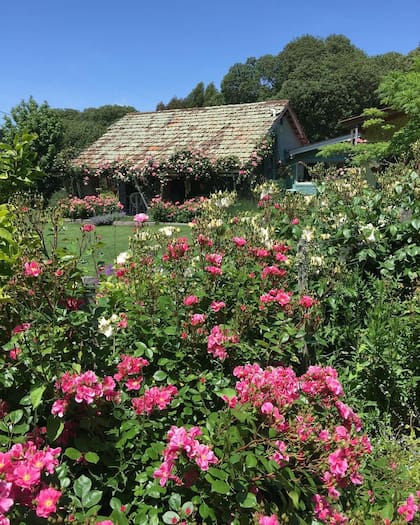 El jardín de Samay Huasi contiene más de 400 rosales.