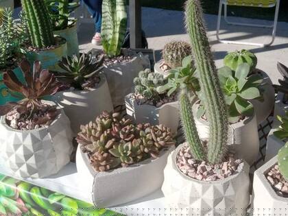 El jardín de Theo surgió como una necesidad económica ya que las internaciones, los viajes y las estadías en otras ciudades empezaron a generar grandes gastos.