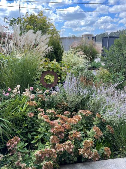 El jardín del frente presentaprincipalmente gramíneas,como panicum, calamagrostisy miscantus. Herbáceas, como sedum, perovskias y verónica, y rosas ‘The Fairy’ aportan color en cada estación. Mientras que el sauco, hortensias hoja de roble, rafiolepis y abelia, entre otras, dan estructura