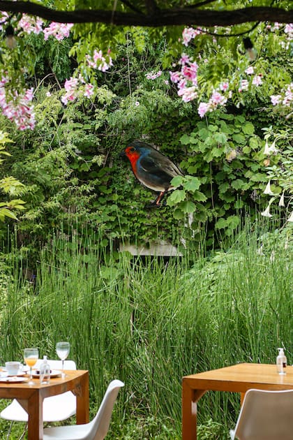 El jardín del hotel boutique Home invita a un descanso entre plantas en pleno Palermo Hollywood.