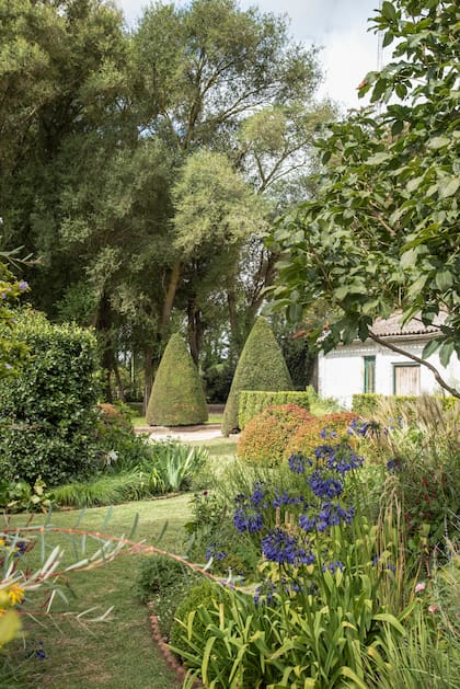 El jardin emocional de Ignacio Van Heden