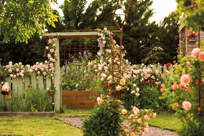 El jardín es teoría y práctica, es ficción y realidad. Es estudio y escenario para sus fotos, pero también para sus flores