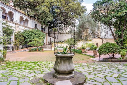 El jardín está repleto de olivos, ombúes y palos borrachos.