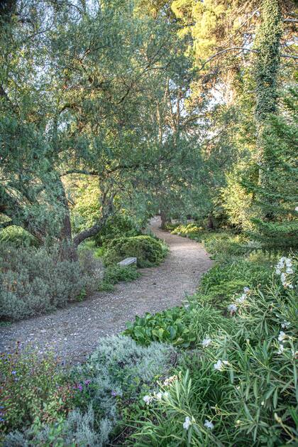 El jardín fue tomando forma con especies resistentes al clima y de bajo mantenimiento. “Que no se note la mano del hombre sino la de la naturaleza”, como cuenta la paisajista Susy Withrington.