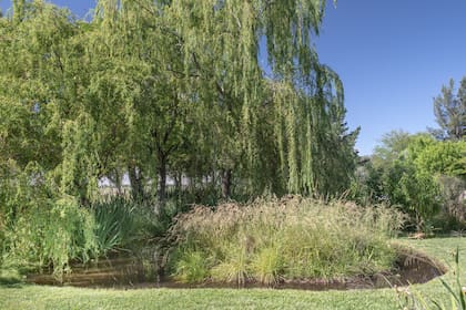 El jardín incluye una laguna que tiene dos islas.