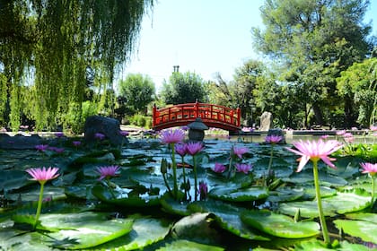 El Jardín Japonés de Escobar