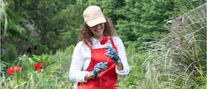 ¿Puede el jardín cambiar de acuerdo al estado de ánimo de sus dueños?