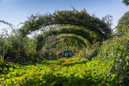 El Jardín Normando tiene arcos para las plantas trepadoras y suelos floridos.