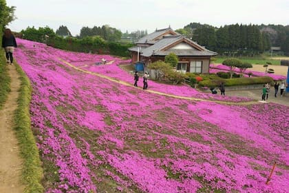 El jardín se convirtió en una parada obligatoria de los turistas