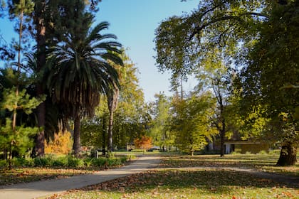El jardín también revivió cuando llegó la renovación