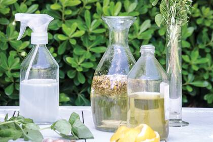 El jardinero sugiere el uso de “mosquito dunks”, un producto biológico que se coloca en el agua y que actúa sobre las larvas sin afectar a otros organismos