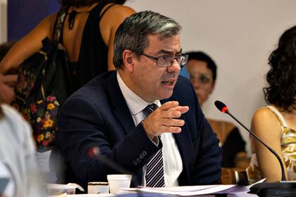 El jefe de bloque oficialista, Germán Martínez