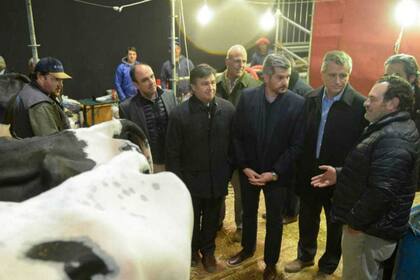 El jefe de Gabinete, Marcos Peña, el año pasado en un pabellón con vacas lecheras Holando