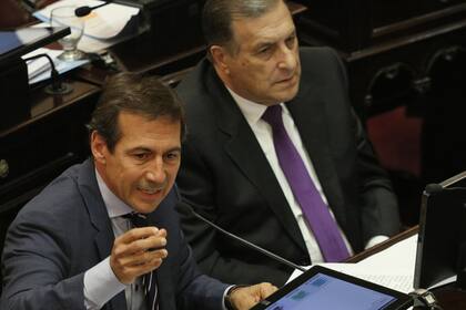 El jefe del interbloque de Juntos por el Cambio, Luis Naidenoff