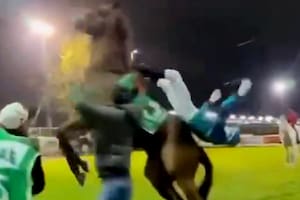 Un jinete recibió un cabezazo de un caballo y quedó inconsciente en la previa de una carrera