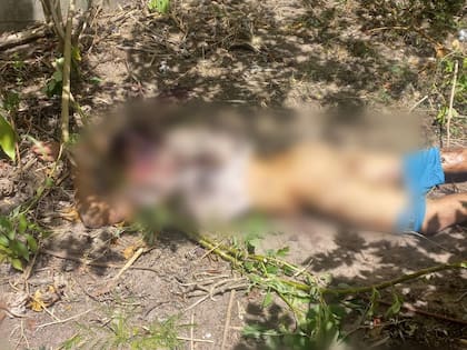 El joven de 19 años murió como consecuencia de las heridas que le causó la leona