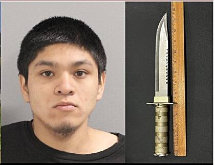 El joven, identificado como Wesslin Omar Ramirez Castillo, fue detenido y acusado de posesión de un arma