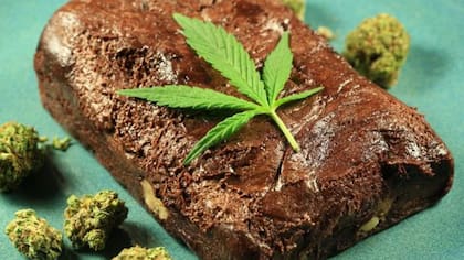 El joven intoxicó a sus compañeros de facultad con una torta con marihuana