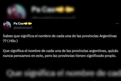 El joven se viralizó por su hilo (Captura Twitter @pablocasx1)