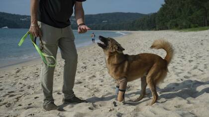 El jubilado John Dalley y Cola en la playa