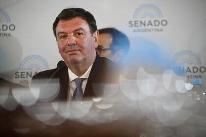 El juez Ariel Lijo en el Senado