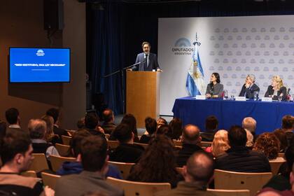 El juez Casanello, durante la presentación del proyecto en el auditorio de la Cámara baja