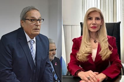 El juez Daniel Mariani asumirá la presidencia de la que habia sido desplazado por Reneé Fernández en el Tribunal Superior de Justicia de Santa Cruz