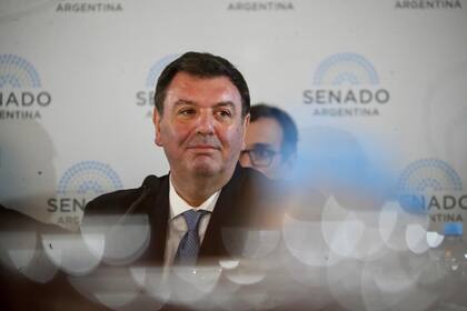 El juez federal Ariel Lijo en la audiencia del Senado