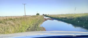 Ordenan a un municipio devolver plata a los productores por el cobro de una tasa