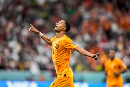 El jugador neerlandés Cody Gakpo anota el primer tanto para Países Bajos ante Qatar