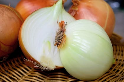 El jugo de la cebolla tiene compuestos que ayudan a inhibir el crecimiento de bacterias.