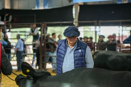 El jurado Alejandro Becerra