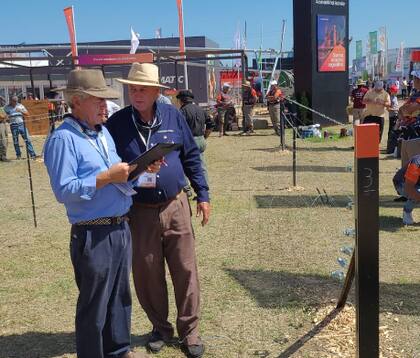 El jurado tuvo en cuenta la tensión de los alambres, linealidad, distancia entre varillas, colocación de torniquetas y otros ítems