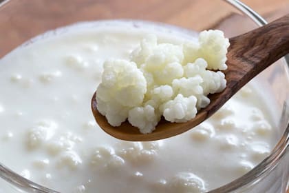 El kéfir es una bebida fermentada que puede contener hasta 60 cepas diferentes de bacterias y levaduras beneficiosas