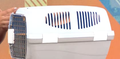 El kennel que llevó la profesional a los estudios de LN+