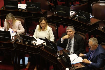 El kirchnerismo, con Mayans a la cabeza, votó en contra de la reforma laboral