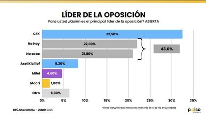 El kirchnerismo sigue atento las encuestas que dan a Cristina como líder de la oposición, por encima de Kicillof