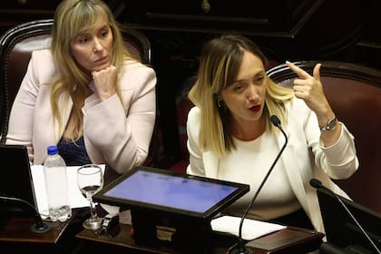 El kirchnerismo votó en contra del texto en el Senado y también lo hará en Diputados; en la foto: Juliana Di Tullio y Anabel Fernández Sagasti