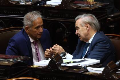 El kirchnerista Palazzo y Pichetto conversan en una sesión