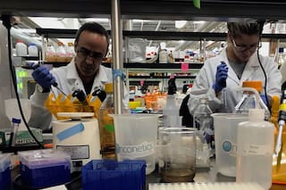 Hantavirus: confirman dos muertes y 13 casos en la Argentina