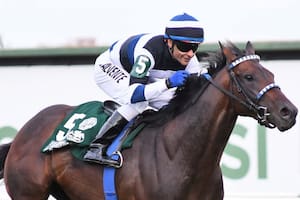 Cinco extranjeros ponen a prueba el nivel de los locales en un Pellegrini con estrellas internacionales