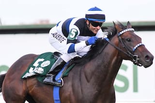 Cinco extranjeros ponen a prueba el nivel de los locales en un Pellegrini con estrellas internacionales